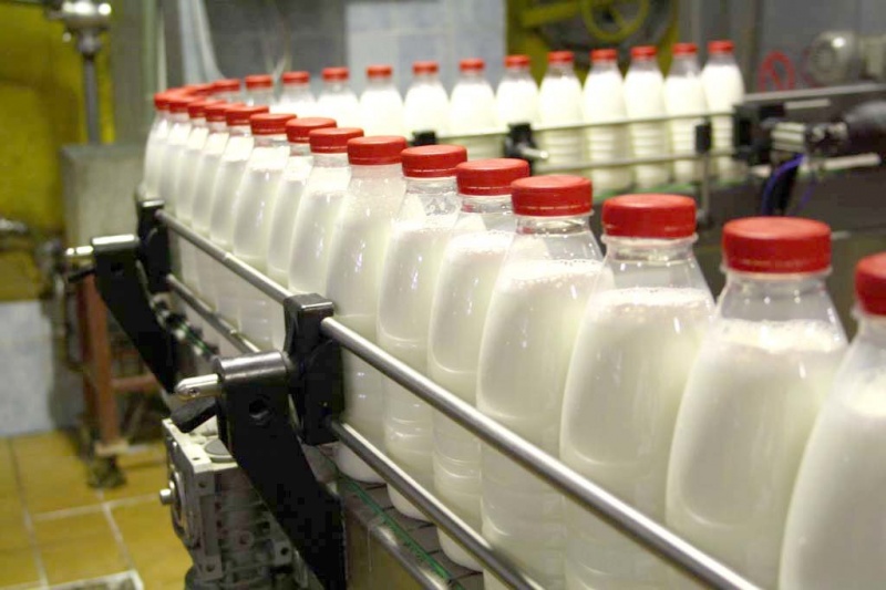 Молока в Волгоградской области стали производить больше