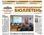 Совет директоров Волгограда начал выпуск ежемесячного издания