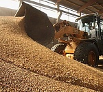 В Волгоградской области увеличены мощности зернохранилищ