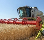 Волгоградские растениеводы собрали первый миллион тонн зерна