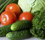 Волгоградская область занимает второе место в России по выращиванию овощей